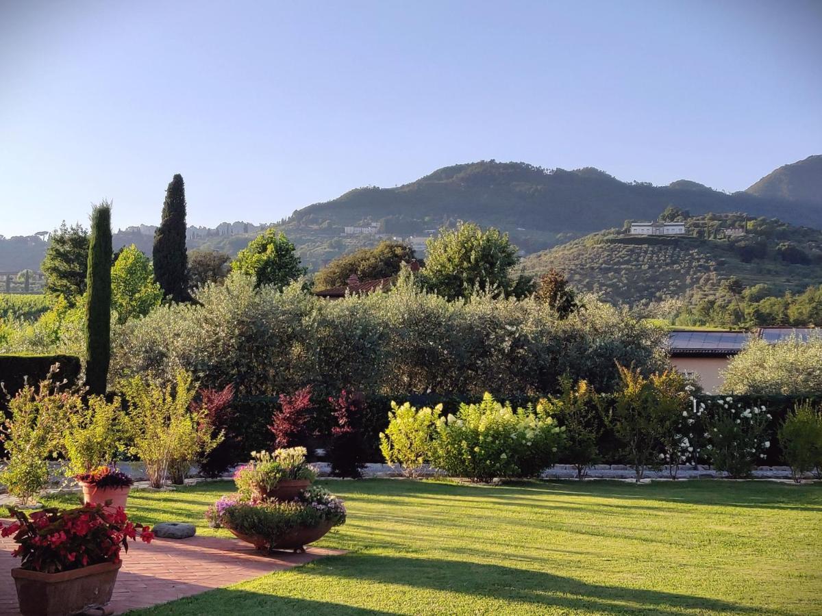 Tuscan Villa Exclusive Use Of Private Pool A/C Wifi Villa Briciola Capannori Exteriör bild
