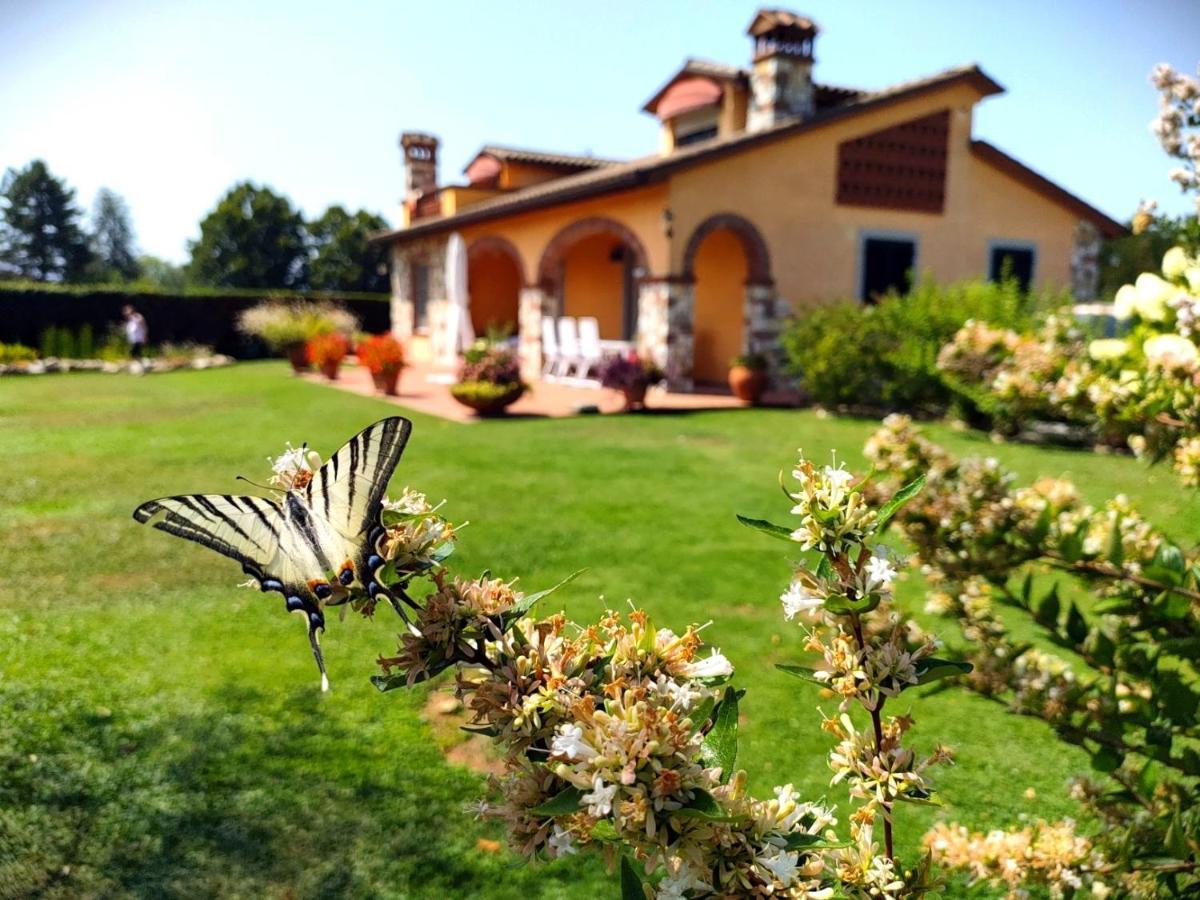 Tuscan Villa Exclusive Use Of Private Pool A/C Wifi Villa Briciola Capannori Exteriör bild