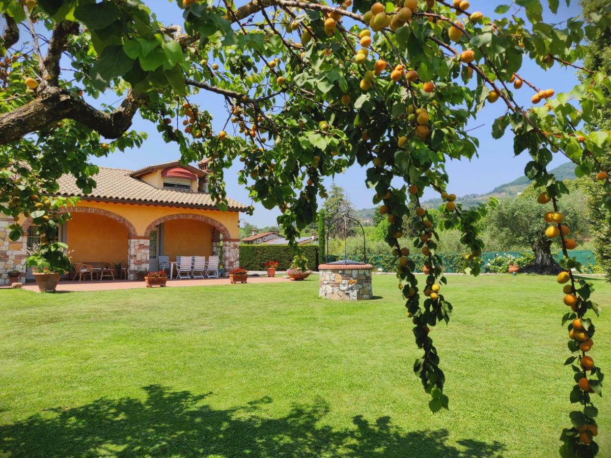 Tuscan Villa Exclusive Use Of Private Pool A/C Wifi Villa Briciola Capannori Exteriör bild